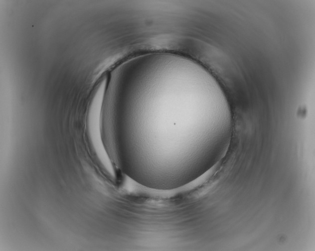 X0000090490164200707272348