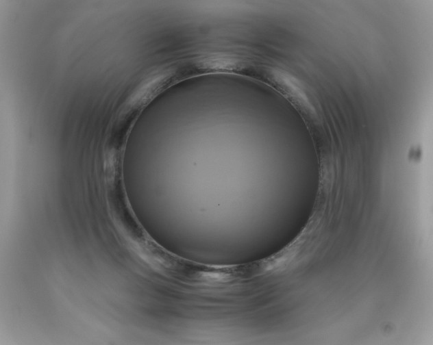 X0000090490167200707272348