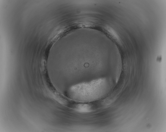 X0000090490169200707272348