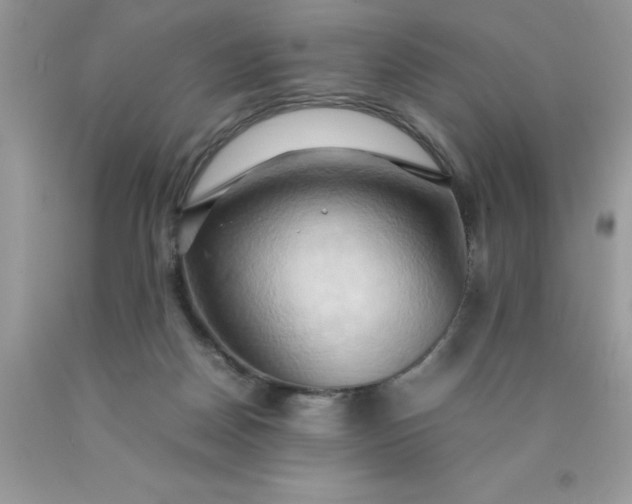 X0000090490170200707272348