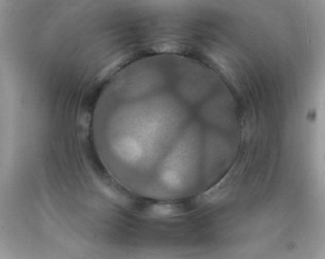 X0000090490171200707272348