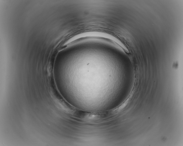 X0000090490174200707272348