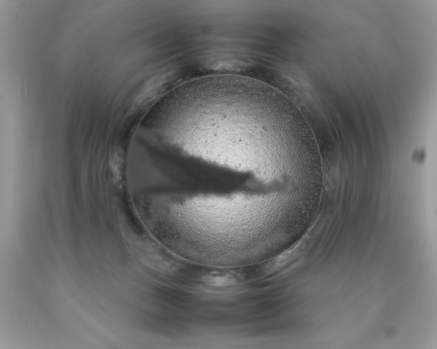 X0000090490175200707272348