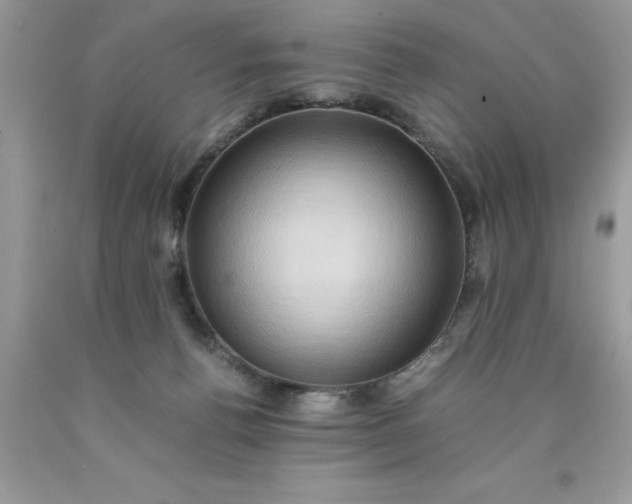 X0000090490176200707272348
