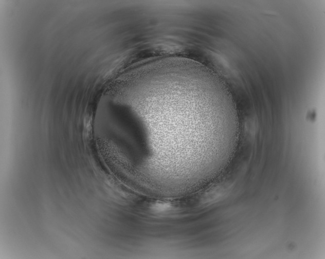 X0000090490177200707272348