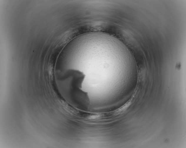 X0000090490178200707272348