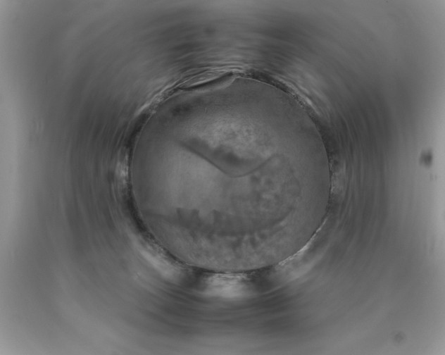 X0000090490179200707272348