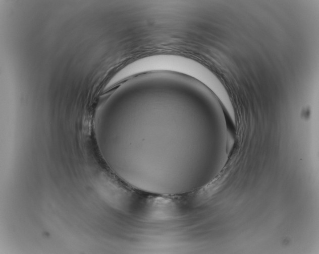 X0000090490180200707272348