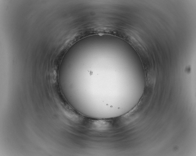 X0000090490183200707272348