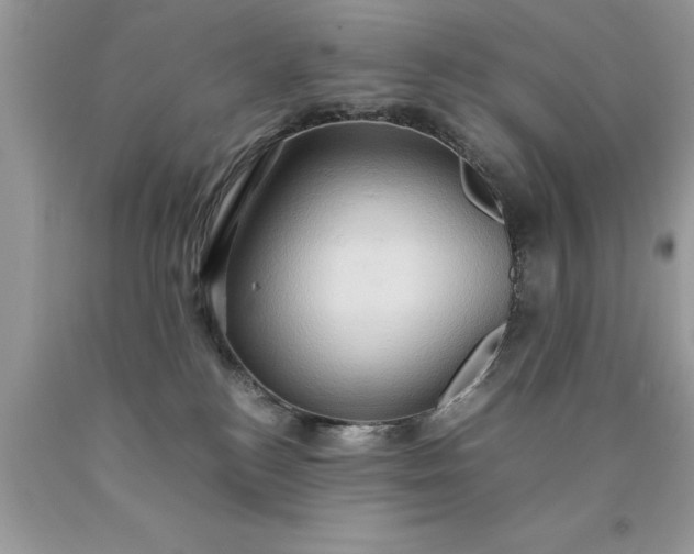 X0000090490184200707272348