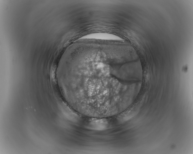 X0000090490185200707272348