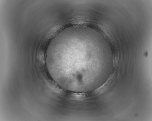 X0000090490187200707272348