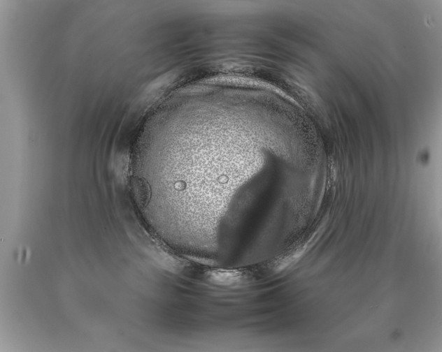 X0000090490189200707272348