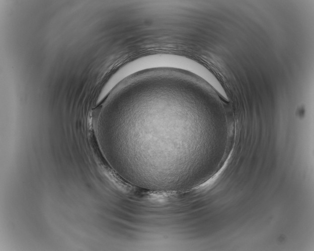 X0000090490190200707272348