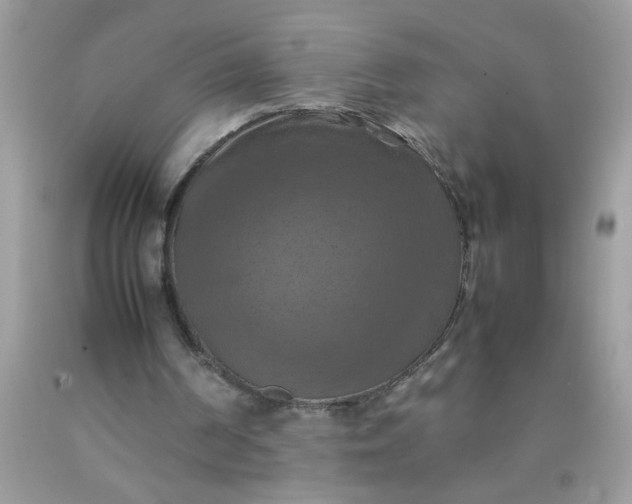 X0000090490194200707272347
