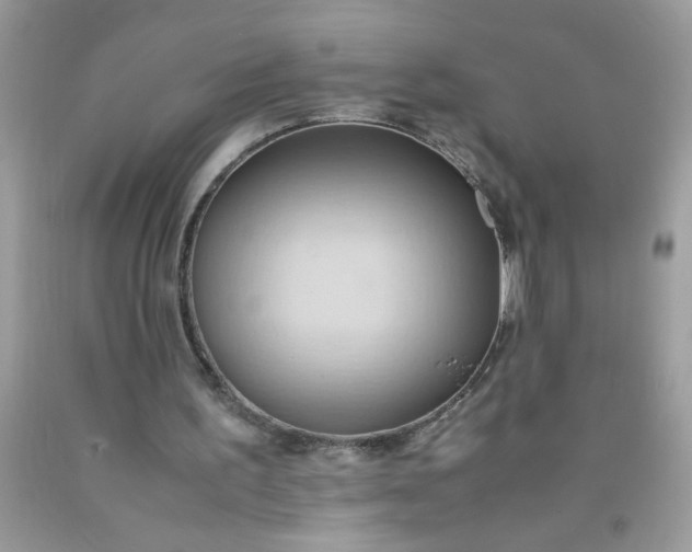 X0000090490195200707272347