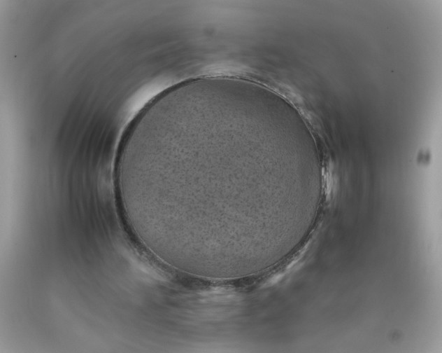 X0000090490196200707272347