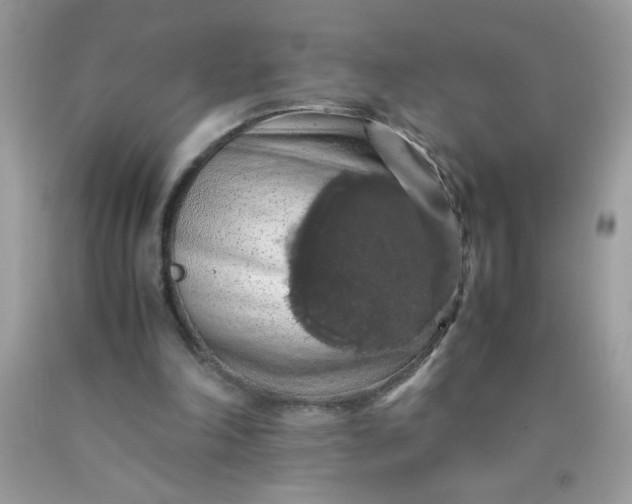 X0000090490198200707272347