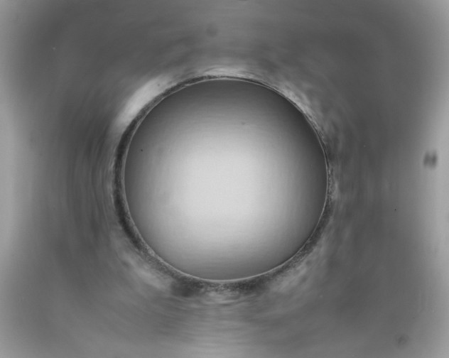 X0000090490199200707272347