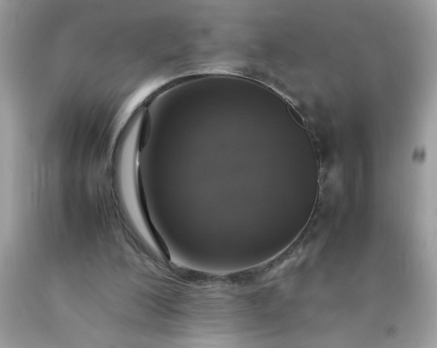 X0000090490200200707272347