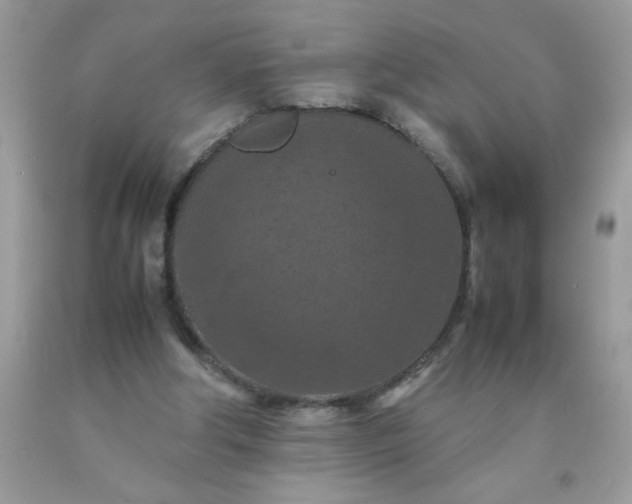 X0000090490202200707272347