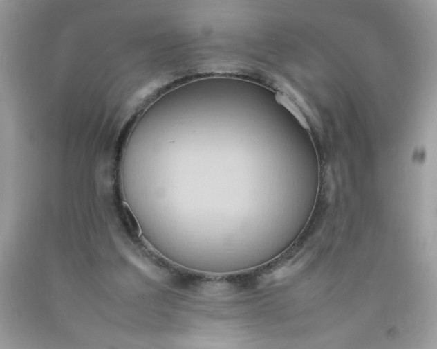 X0000090490203200707272347