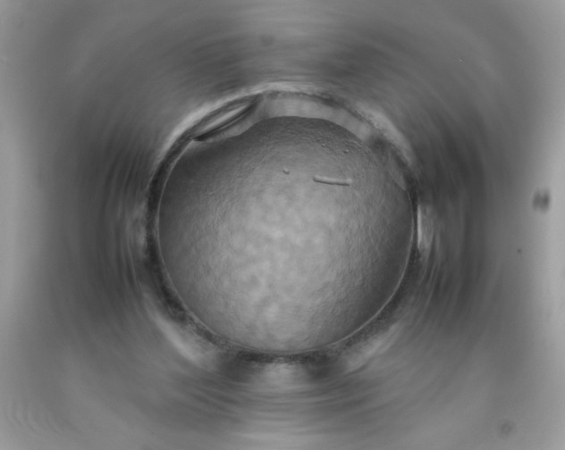 X0000090490204200707272347