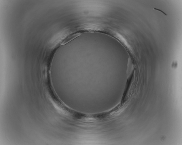 X0000090490205200707272347