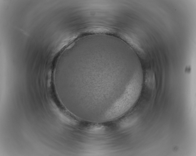 X0000090490206200707272347