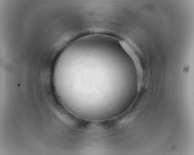 X0000090490207200707272347