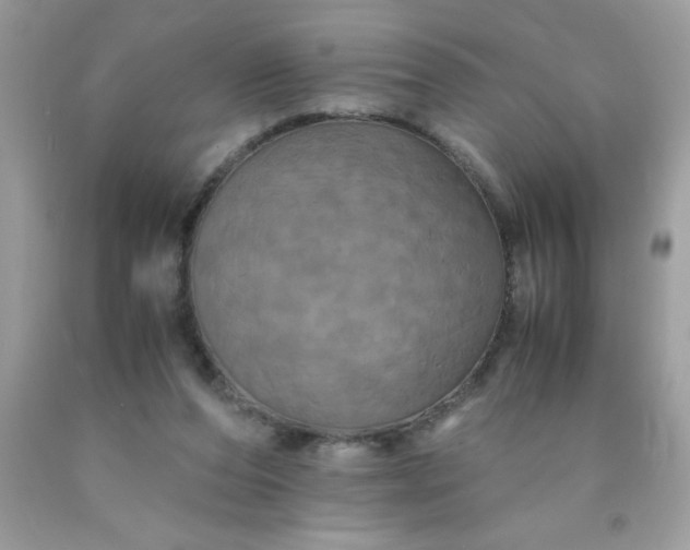 X0000090490208200707272347