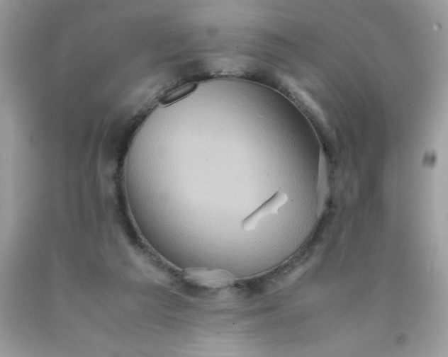 X0000090490209200707272347