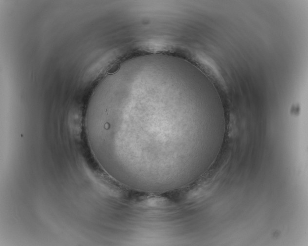 X0000090490210200707272347