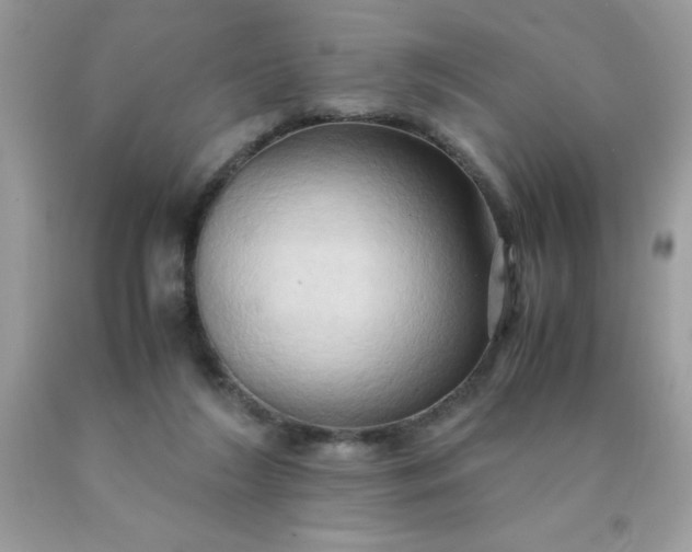 X0000090490212200707272347