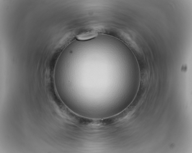 X0000090490213200707272347