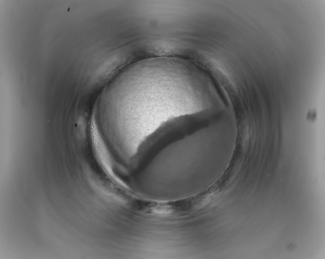 X0000090490214200707272347