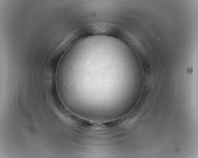 X0000090490215200707272347