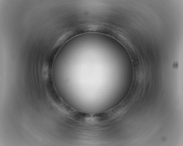 X0000090490216200707272347