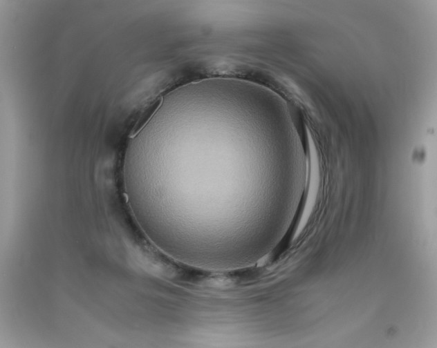 X0000090490217200707272347