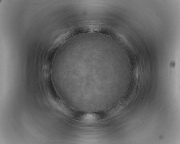 X0000090490218200707272347