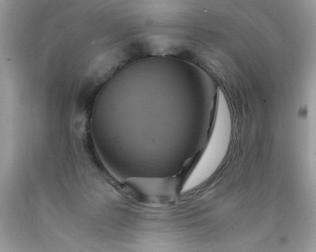 X0000090490219200707272347
