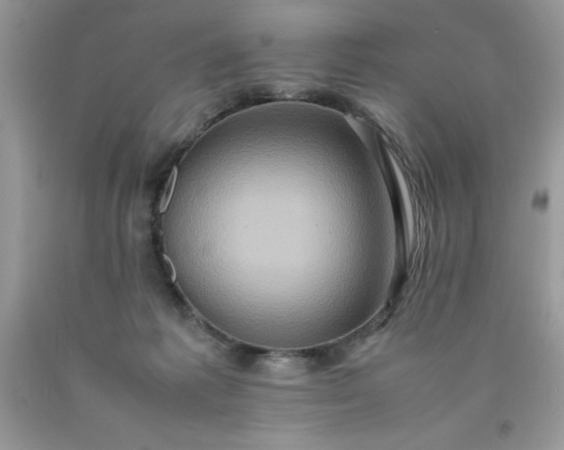 X0000090490221200707272347