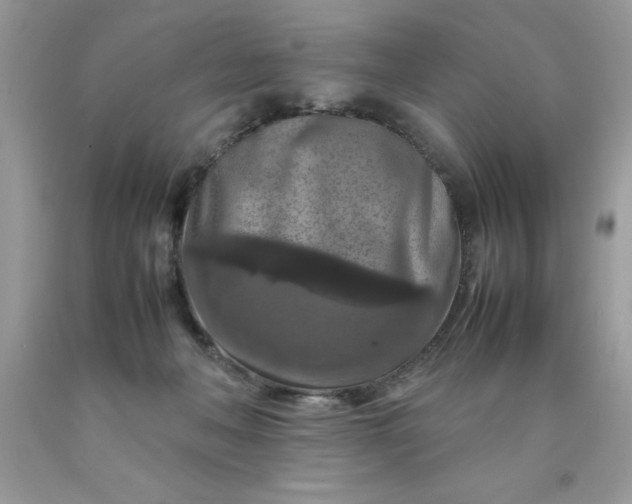 X0000090490222200707272347