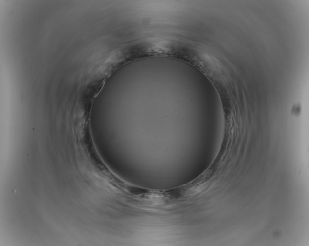 X0000090490223200707272347