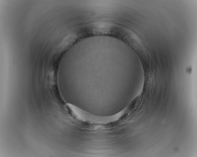 X0000090490224200707272347