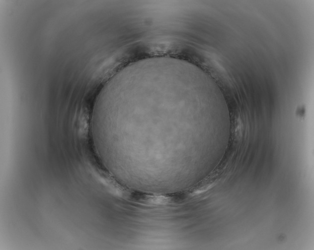 X0000090490226200707272347