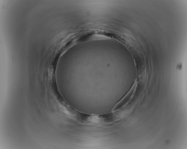X0000090490231200707272347