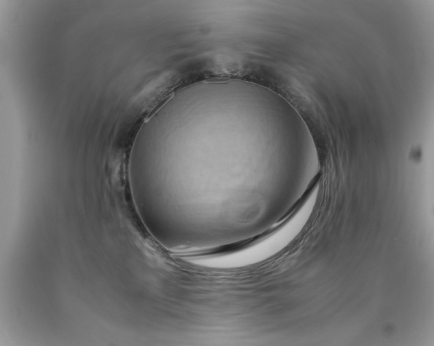 X0000090490233200707272347