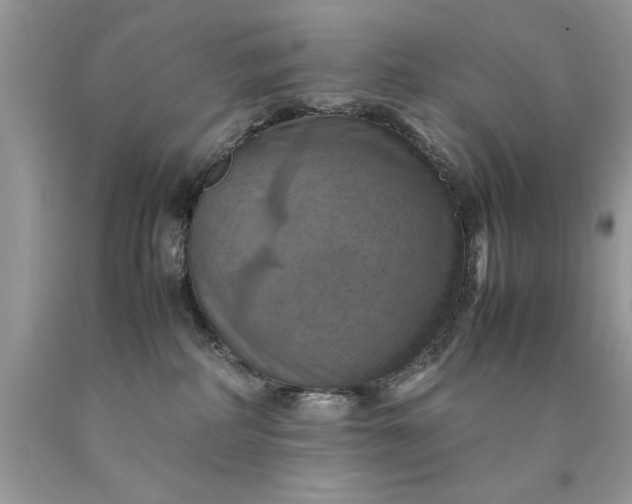 X0000090490234200707272347