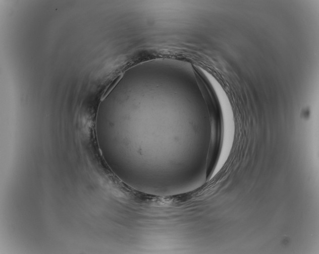 X0000090490235200707272347